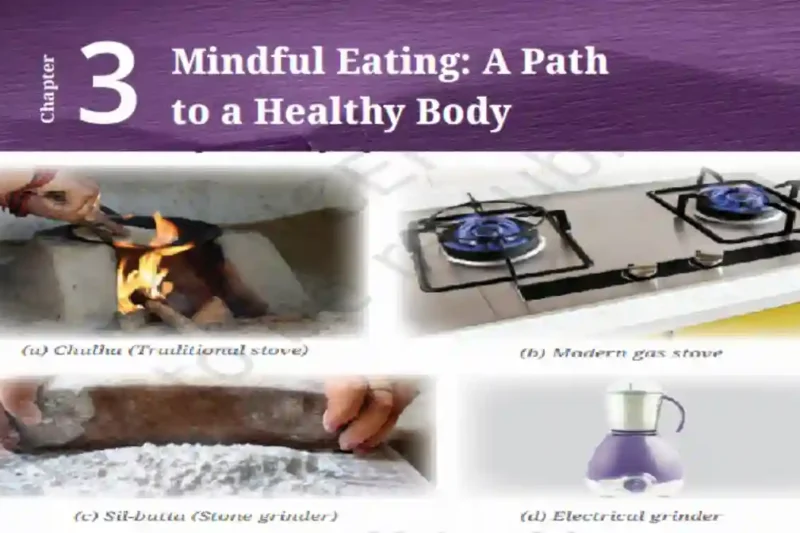 Nutrition & Food Components (NCERT Class 6 Chapter 3) Notes And MCQs Hindi And English