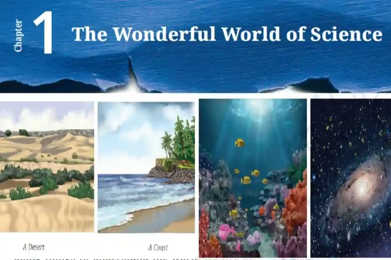 The Wonderful World of Science – NCERT Class 6 Chapter 1 Notes And Mcqs Hindi English