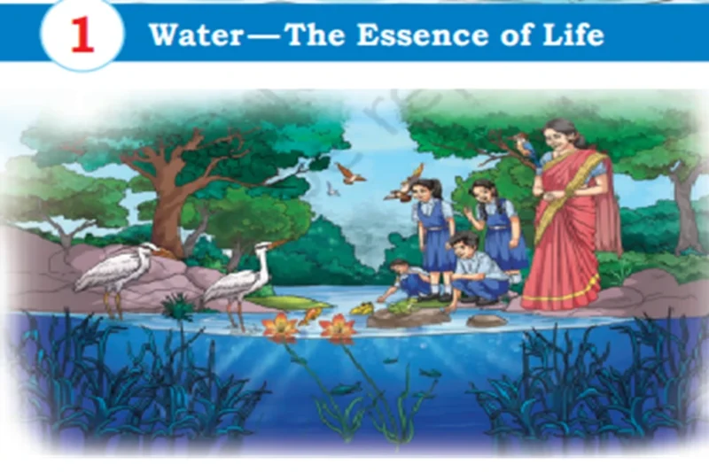 Water – The Essence of Life (NCERT Class 5 Science Book Chapter 1 ) – Notes for Quick Revision